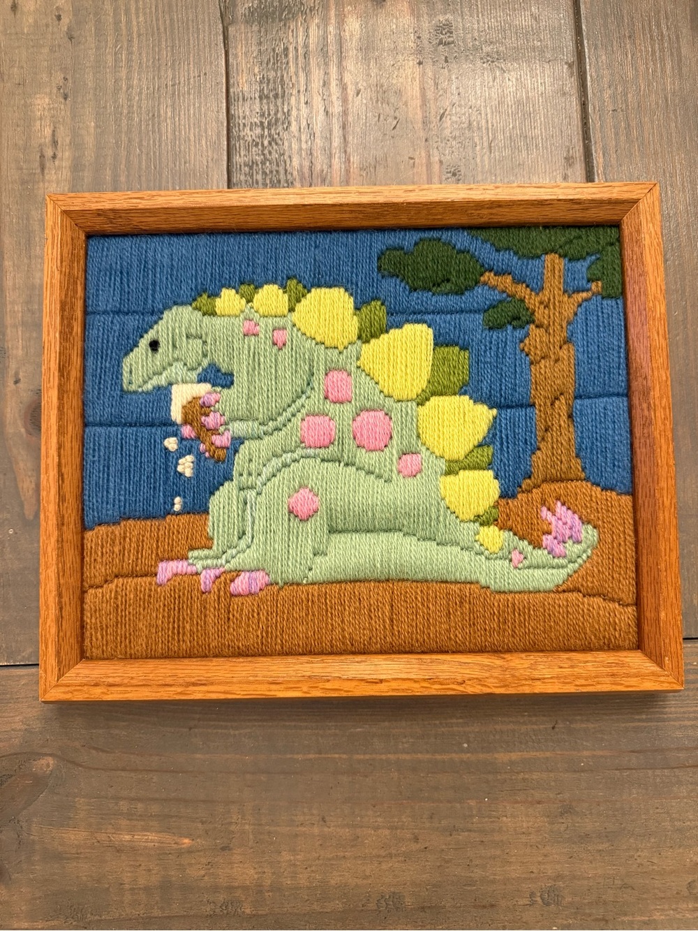 The Creative Circle #1435 Stegosaurus Dinosaur Yarn Needlepoint 9x11 Framed Art